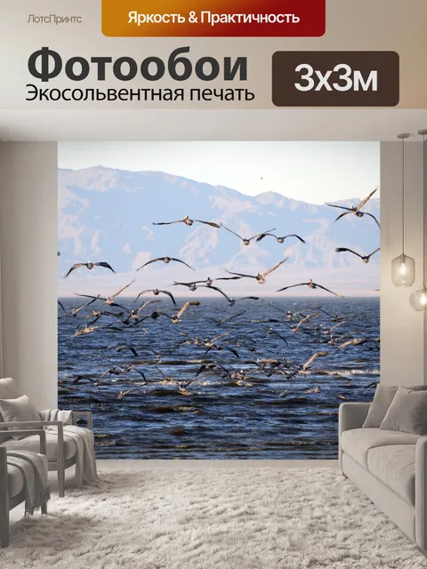 Фотообои Стая чаек над морем