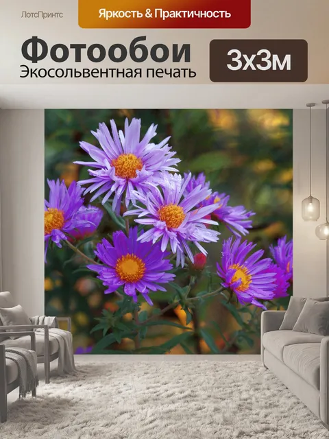 Фотообои Цветочный сад астры