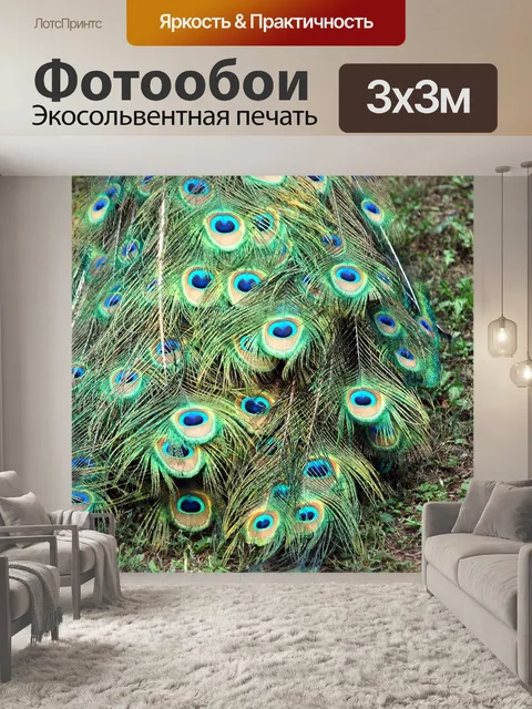 Фотообои Павлин