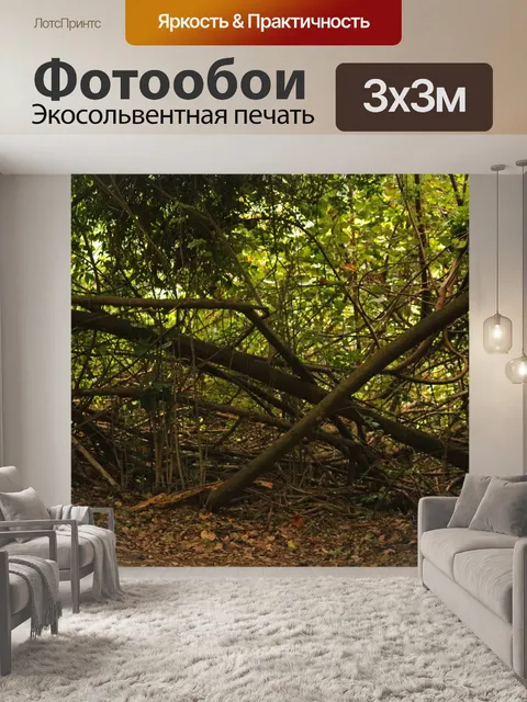 Фотообои сцена в лесистой местности