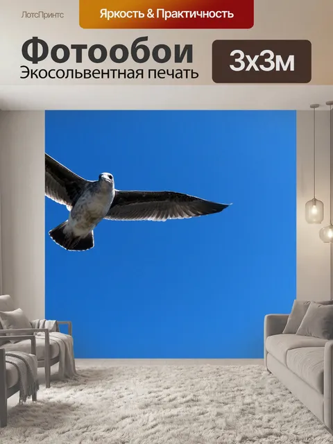 Фотообои Летающие Чайка