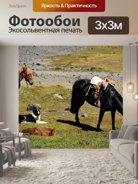 Фотообои Лошадь