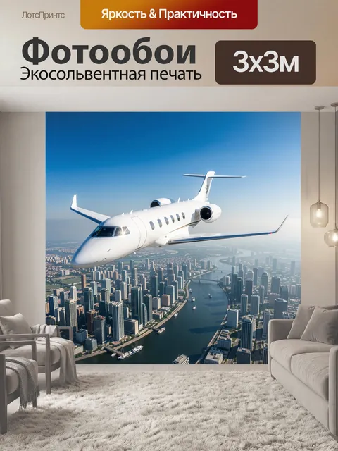 Фотообои Реактивный самолёт над мегаполисом