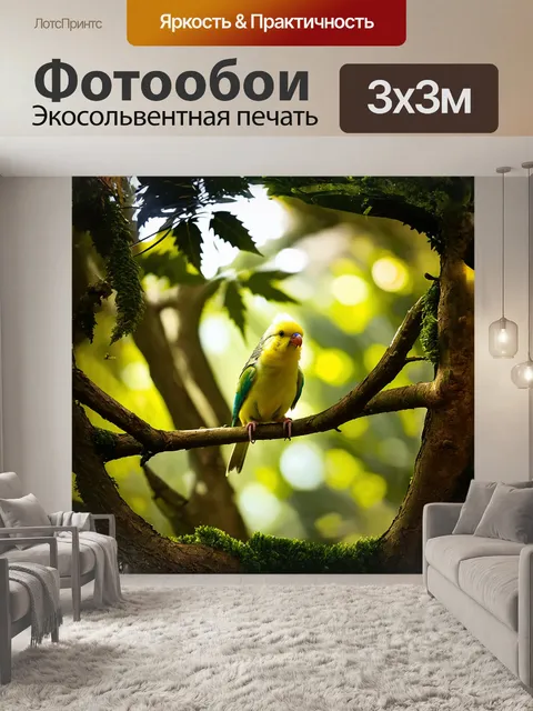Фотообои в волнистом попугайчике
