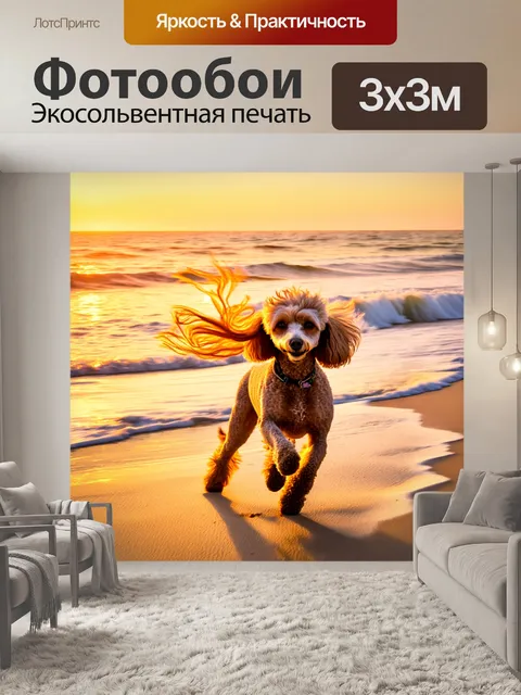 Фотообои пудель, играющий на пляже, его шерсть развевается на ветру, а волны омывают песок