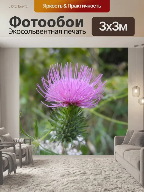 Фотообои Растение роза