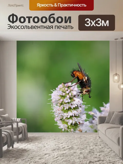 Фотообои Летать