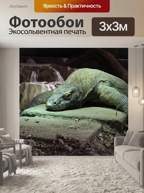 Фотообои Дракон комодо