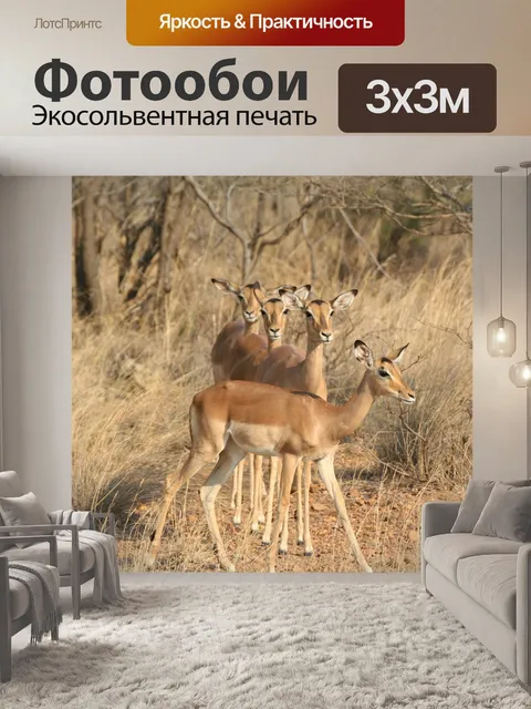 Фотообои Дикая природа