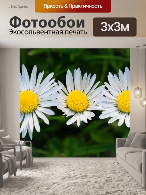 Фотообои Три