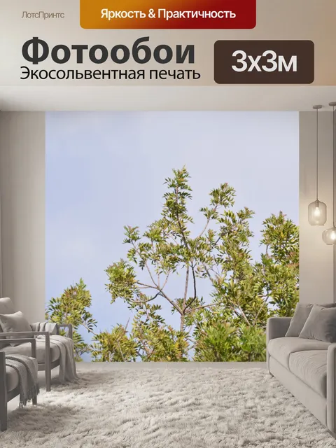 Фотообои вершины деревьев