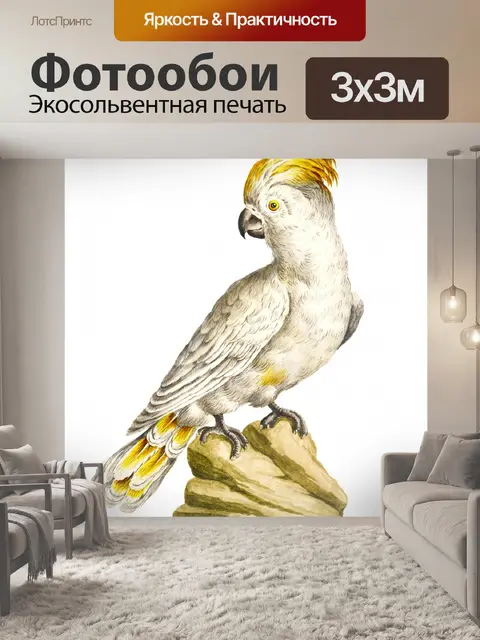 Фотообои Какаду попугай птица винтаж