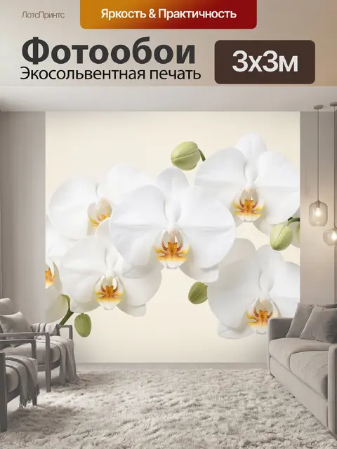 Фотообои Белые орхидеи с бутонами