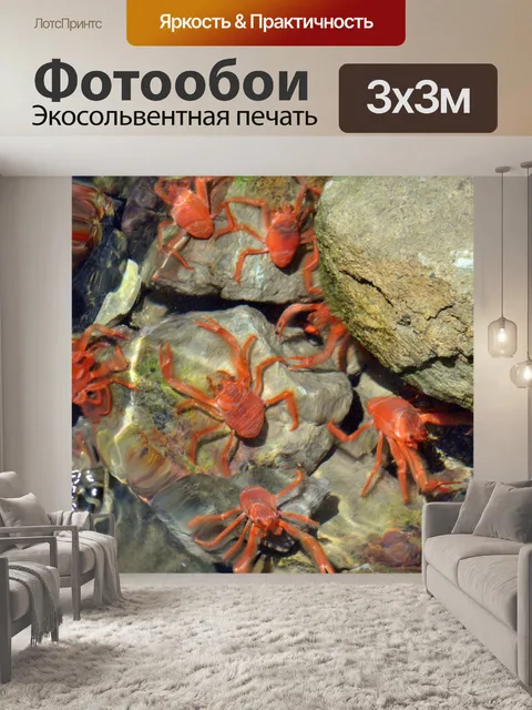 Фотообои Красные крабы