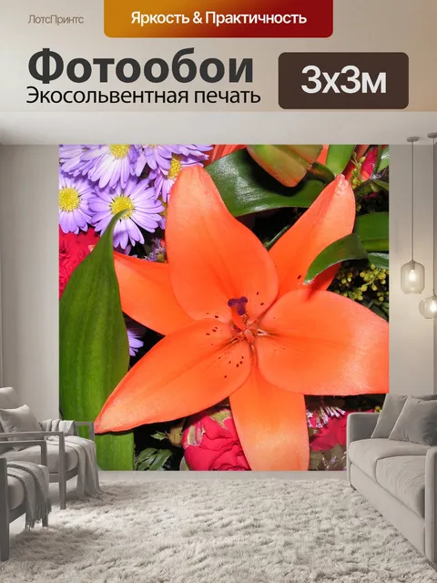 Фотообои Лили