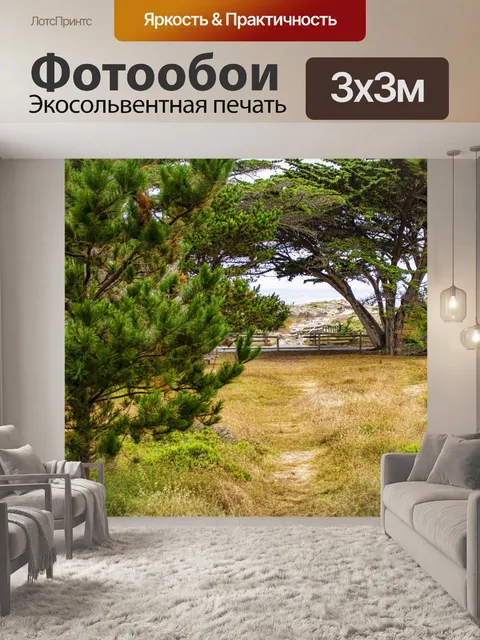 Фотообои Путь к пляжу