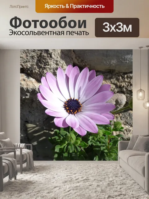 Фотообои Цветы