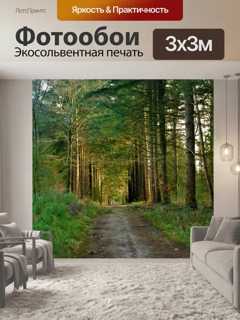 Фотообои Лес