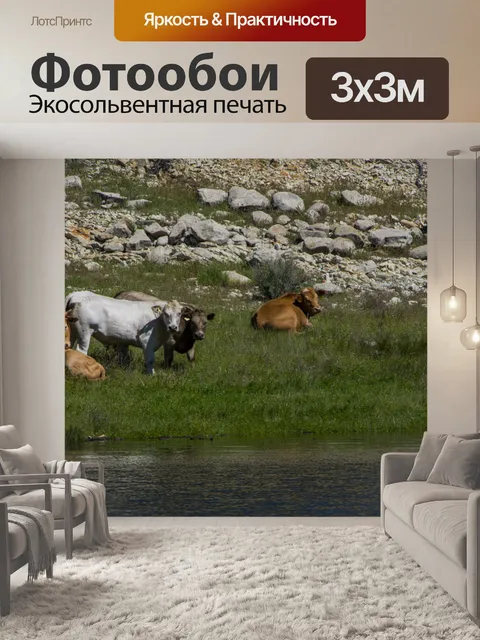 Фотообои Коровы у озера