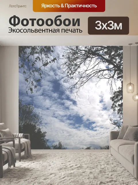 Фотообои Облака и деревья