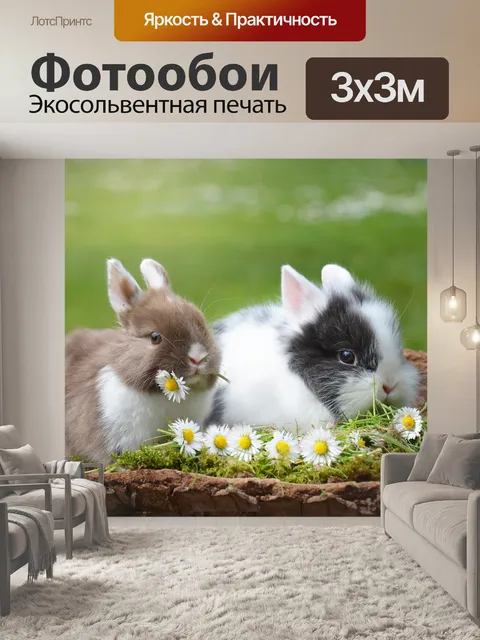 Фотообои Кролики