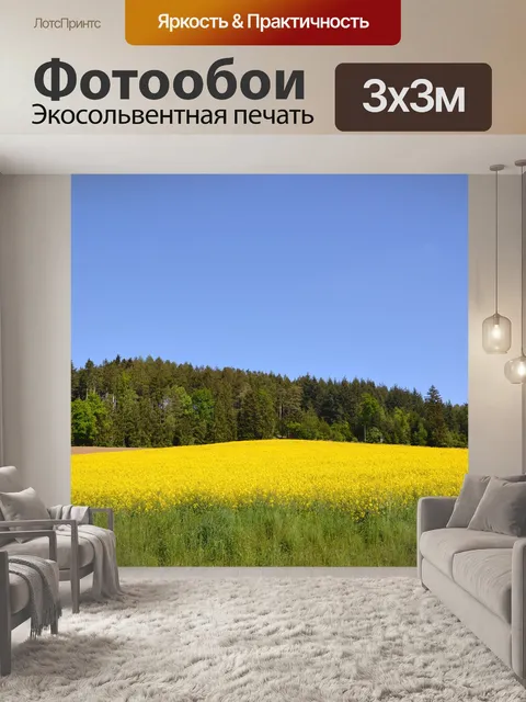 Фотообои Поле