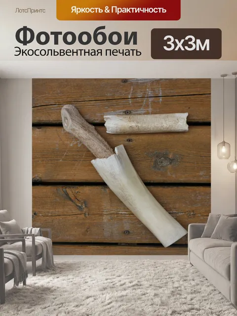 Фотообои кости на палубе