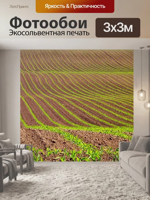 Фотообои Грин