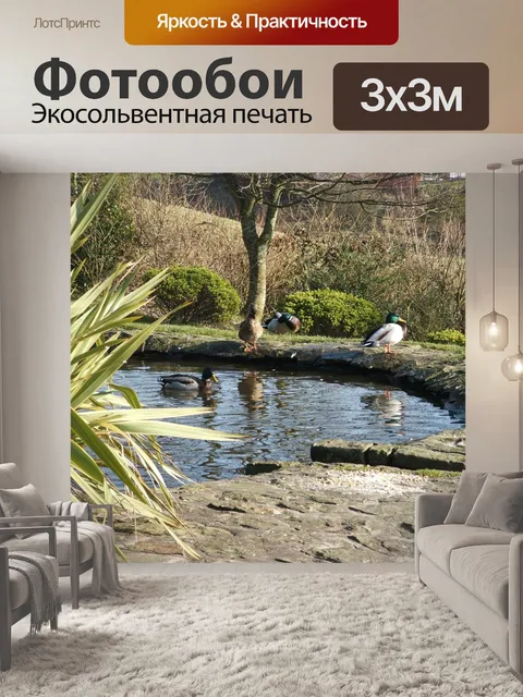 Фотообои Утиный пруд