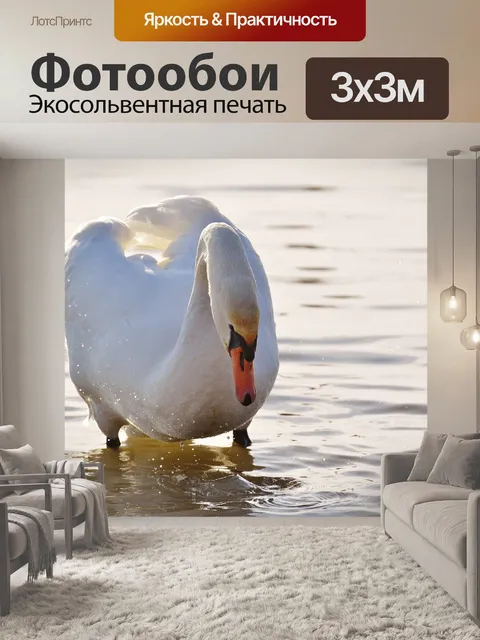 Фотообои Лебедь
