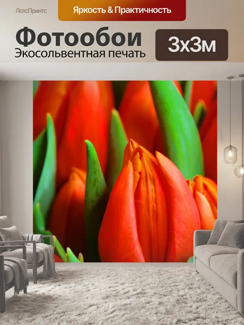 Фотообои Красные тюльпаны