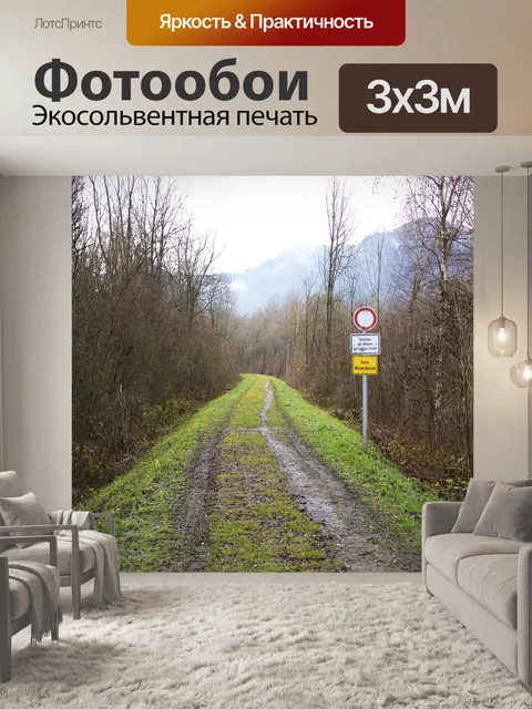 Фотообои Германия