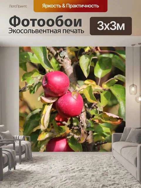 Фотообои Падение