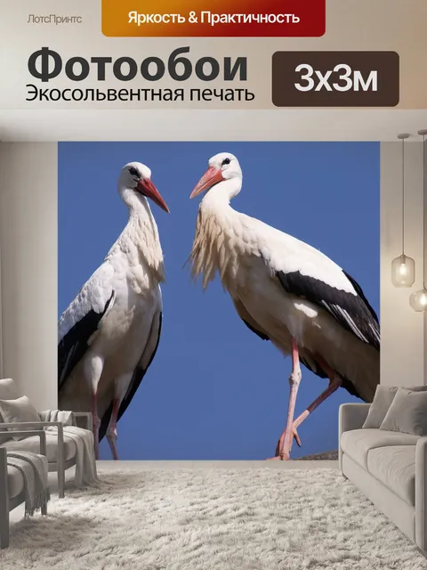 Фотообои Аист