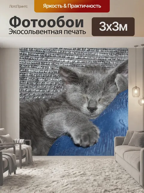 Фотообои Кот