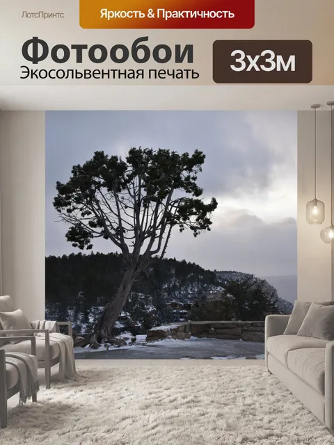 Фотообои Дерево на хребте Силуэт