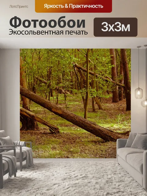 Фотообои Вид