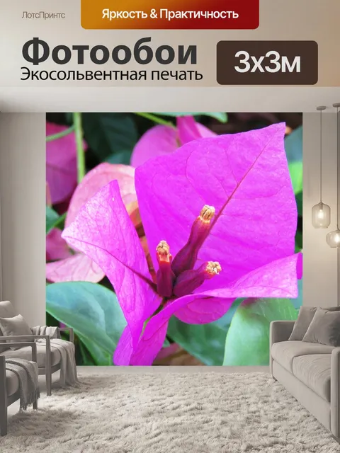 Фотообои Свежий