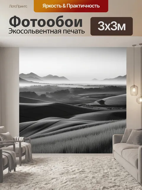 Фотообои пейзаж с ранним утром чернобелый