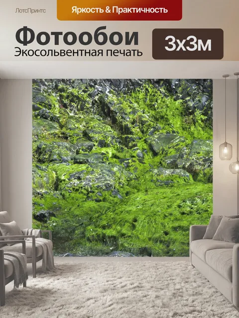 Фотообои Мосс охватывает рок фон