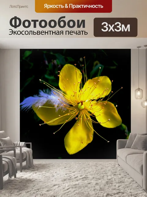 Фотообои желтый зверобоя и белое перо