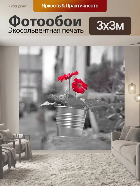 Фотообои Красный цветок на улице