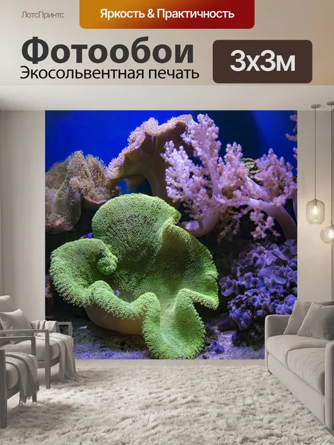 Фотообои Сцены из коралловых рифов