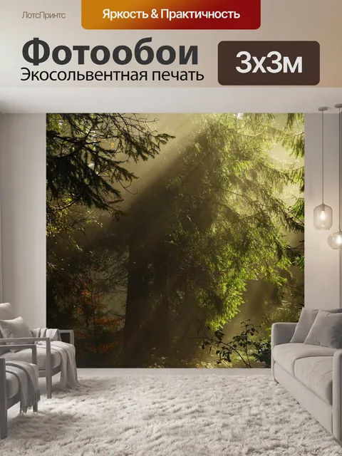 Фотообои Лес