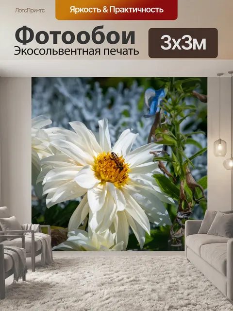 Фотообои Белый цветок, пчела, насекомое