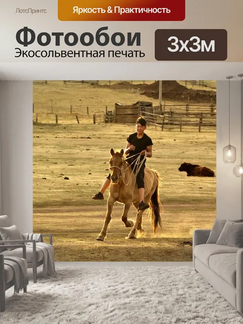 Фотообои Всадник