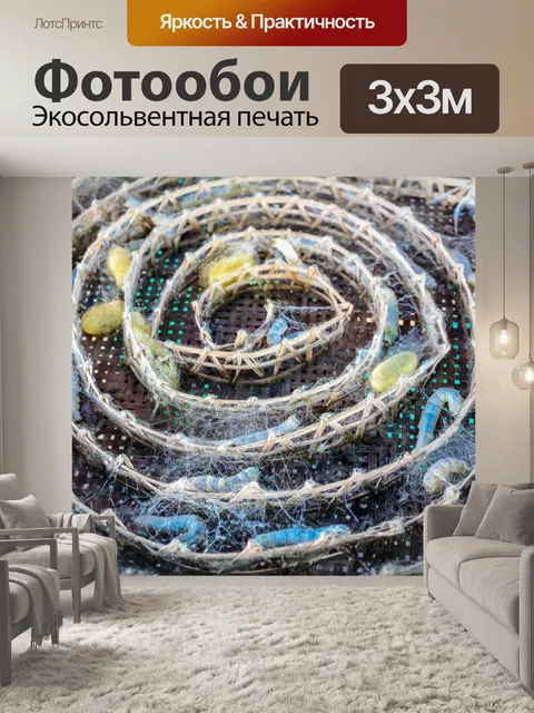 Фотообои Шелкопряд ест листья шелковицы