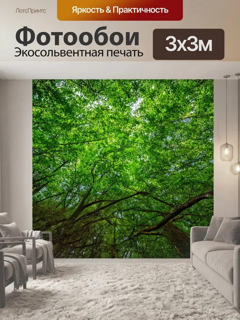 Фотообои прекрасный лес с зелеными деревьями