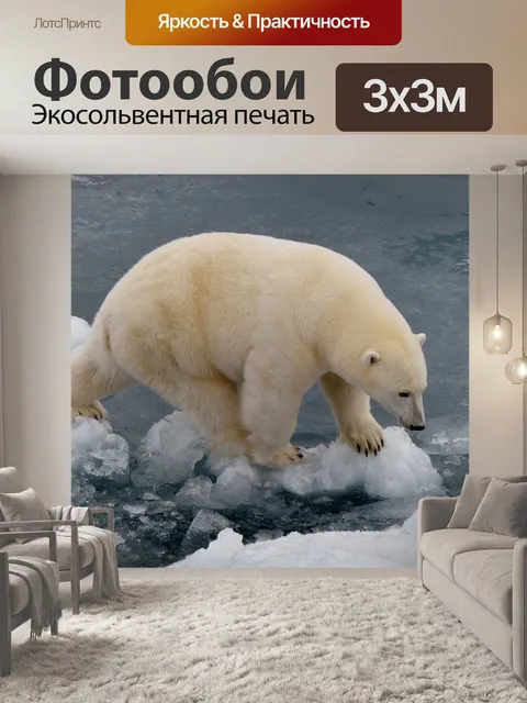 Фотообои Icebear
