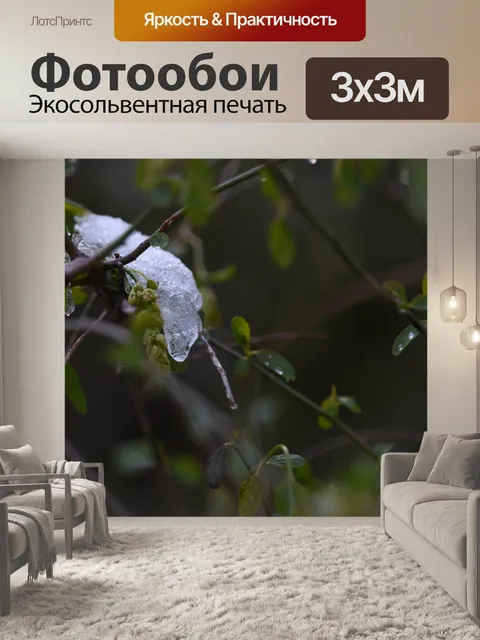 Фотообои Лед на листе